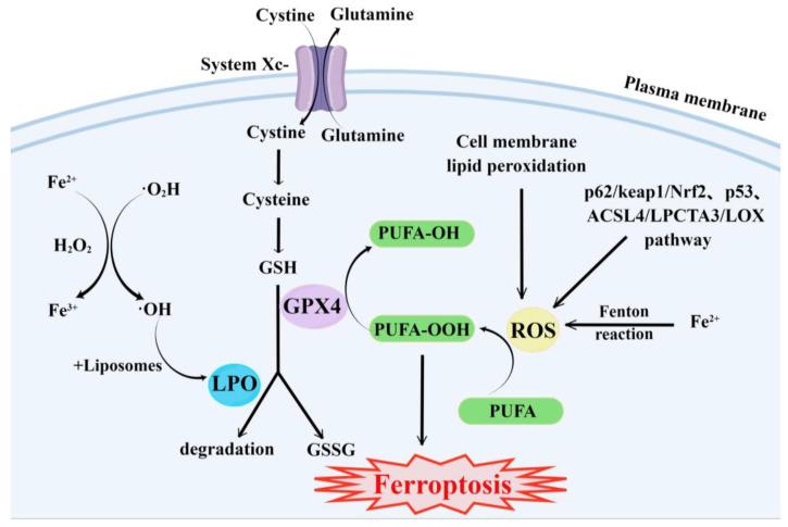 https://cdn.ncbi.nlm.nih.gov/pmc/blobs/3f9f/10254382/68e9da793fb9/molecules-28-04562-g001.jpg