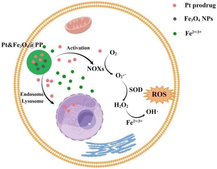 https://cdn.ncbi.nlm.nih.gov/pmc/blobs/3f9f/10254382/e1fb2b610d6b/molecules-28-04562-g005.jpg