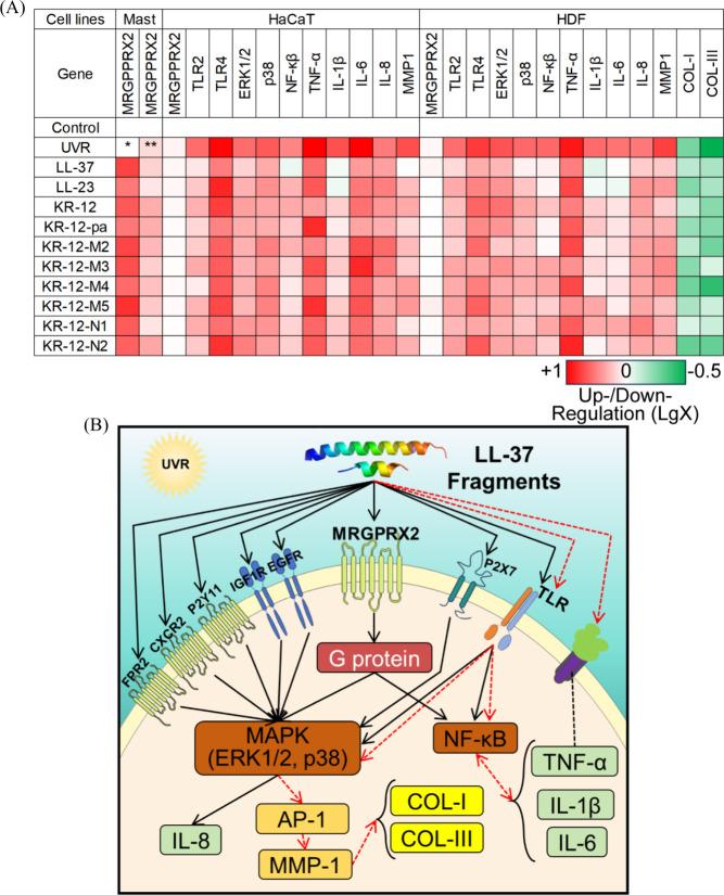 https://cdn.ncbi.nlm.nih.gov/pmc/blobs/3f9f/12392188/173b44760c85/ao4c11664_0004.jpg