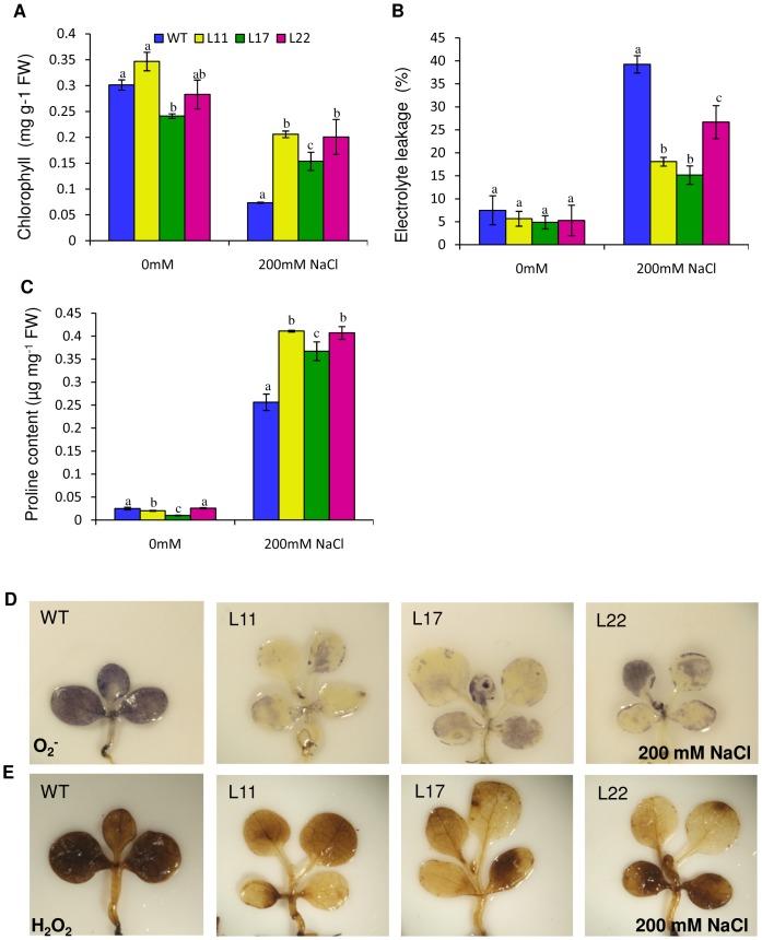 https://cdn.ncbi.nlm.nih.gov/pmc/blobs/3fa1/4084957/46842c18ea7c/pone.0101926.g007.jpg