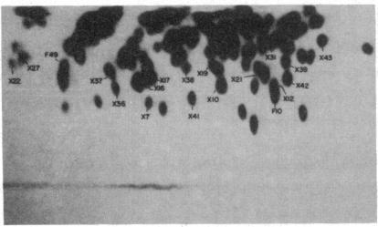 https://cdn.ncbi.nlm.nih.gov/pmc/blobs/3fa3/397058/12ff90b76385/pnas00342-0209-a.jpg