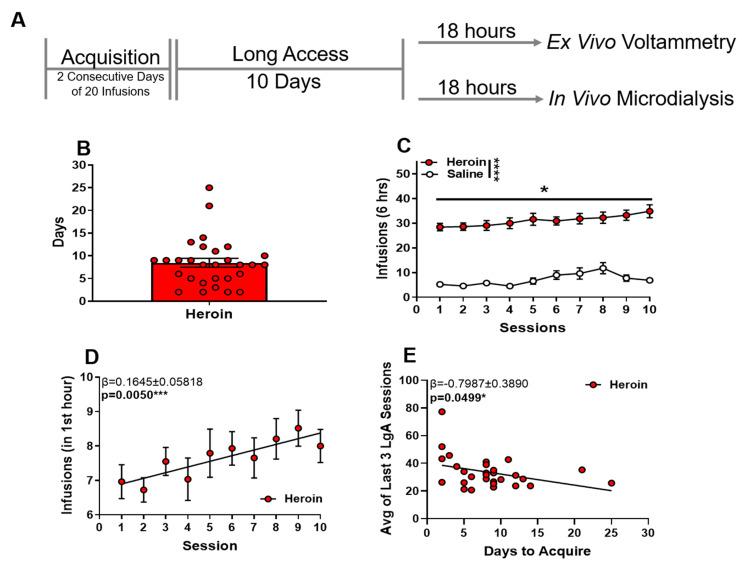 https://cdn.ncbi.nlm.nih.gov/pmc/blobs/3fa6/9332320/58d0d4bd04d2/ijms-23-08106-g001.jpg