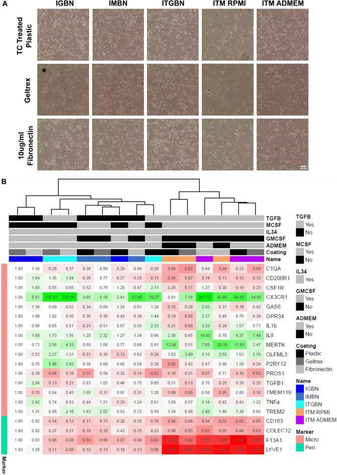 https://cdn.ncbi.nlm.nih.gov/pmc/blobs/3fa6/9663826/02c036d5af04/41598_2022_23477_Fig3_HTML.jpg