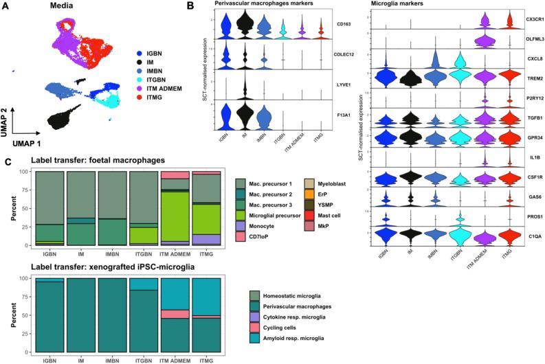 https://cdn.ncbi.nlm.nih.gov/pmc/blobs/3fa6/9663826/75642e13c0a0/41598_2022_23477_Fig5_HTML.jpg