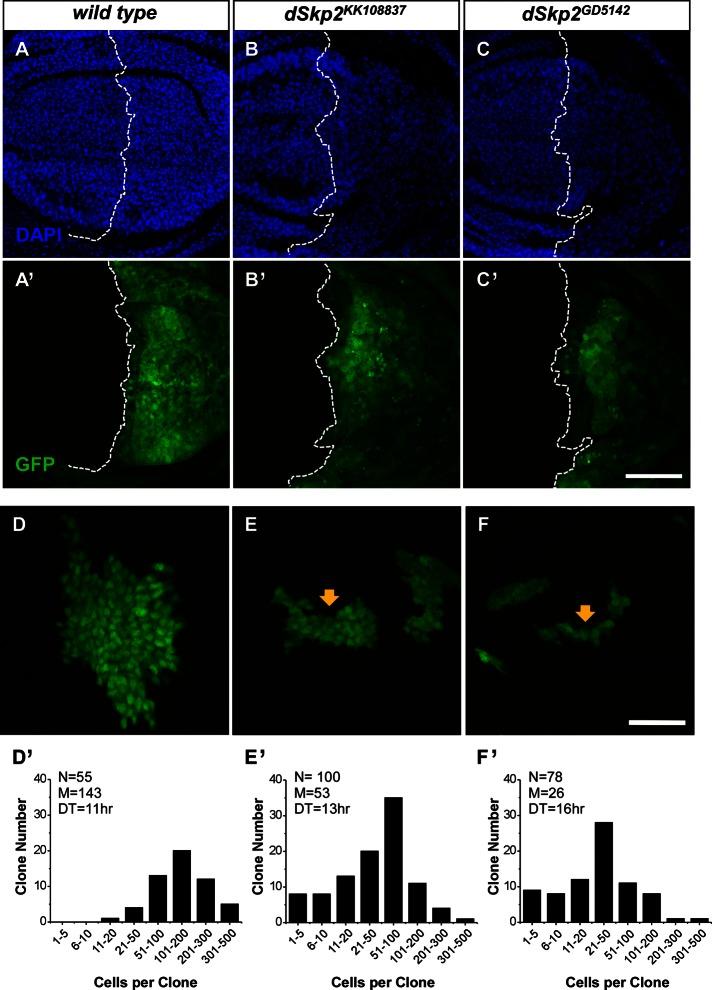 https://cdn.ncbi.nlm.nih.gov/pmc/blobs/3fa7/3667721/429f250b3b2a/1676fig4.jpg