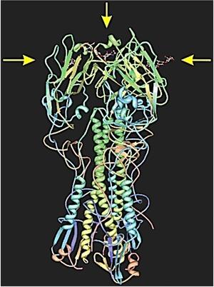 https://cdn.ncbi.nlm.nih.gov/pmc/blobs/3faa/6084377/0b51cee9d6b6/MED-37-514-g003.jpg