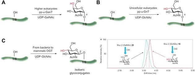 https://cdn.ncbi.nlm.nih.gov/pmc/blobs/3faa/6084377/0eca7b8370e2/MED-37-514-g041.jpg