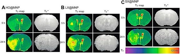 https://cdn.ncbi.nlm.nih.gov/pmc/blobs/3faa/6084377/1ff21cf29aa4/MED-37-514-g027.jpg