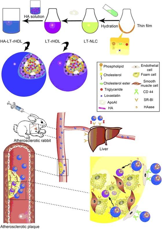 https://cdn.ncbi.nlm.nih.gov/pmc/blobs/3faa/6084377/4c85d442d542/MED-37-514-g020.jpg