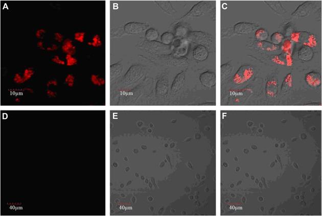 https://cdn.ncbi.nlm.nih.gov/pmc/blobs/3faa/6084377/8918125be2ad/MED-37-514-g024.jpg