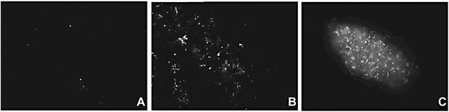 https://cdn.ncbi.nlm.nih.gov/pmc/blobs/3faa/6084377/c8efc892911c/MED-37-514-g015.jpg