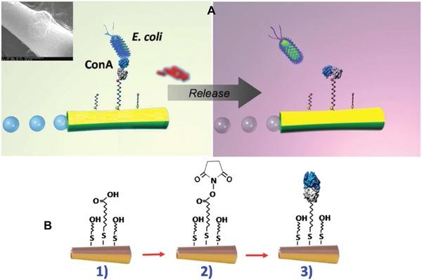 https://cdn.ncbi.nlm.nih.gov/pmc/blobs/3faa/6084377/eedb6cf67f7a/MED-37-514-g043.jpg
