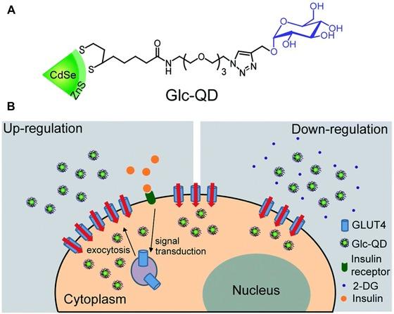 https://cdn.ncbi.nlm.nih.gov/pmc/blobs/3faa/6084377/fac7b23f0fa5/MED-37-514-g028.jpg