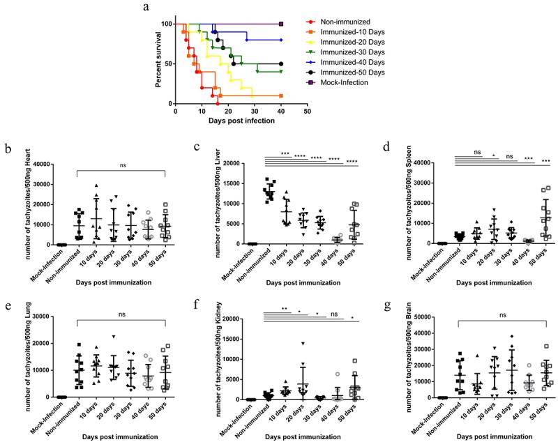 https://cdn.ncbi.nlm.nih.gov/pmc/blobs/3fac/11610562/5d2fe559f277/KVIR_A_2427844_F0007_OC.jpg