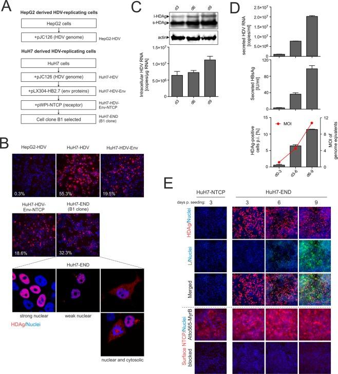 https://cdn.ncbi.nlm.nih.gov/pmc/blobs/3fad/6620269/6d16f045d696/41598_2019_46493_Fig1_HTML.jpg