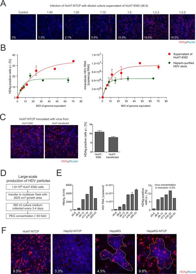 https://cdn.ncbi.nlm.nih.gov/pmc/blobs/3fad/6620269/cef98bfe128d/41598_2019_46493_Fig2_HTML.jpg