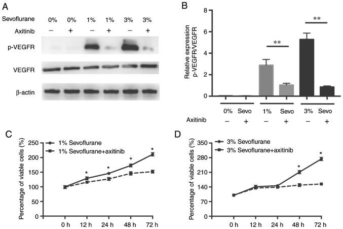 https://cdn.ncbi.nlm.nih.gov/pmc/blobs/3fad/6966126/e5947295c0d5/etm-19-02-1336-g03.jpg