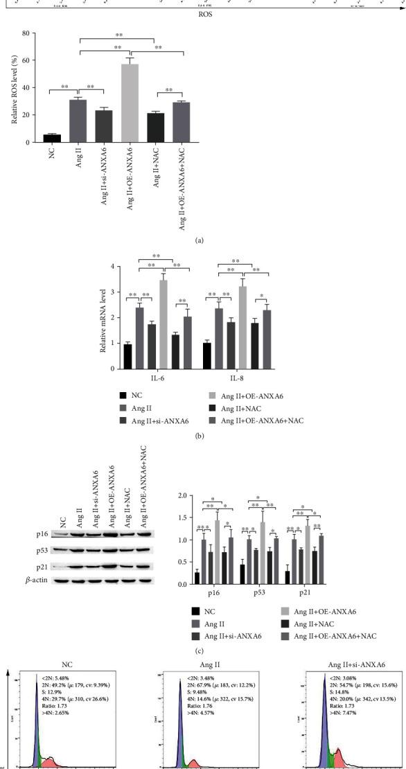 https://cdn.ncbi.nlm.nih.gov/pmc/blobs/3fae/9492406/5dca83f6dfae/OMCL2022-4838760.003.jpg