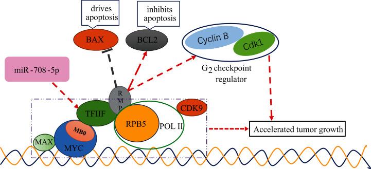 https://cdn.ncbi.nlm.nih.gov/pmc/blobs/3faf/8552790/5c1ae1ce6474/peerj-09-12369-g009.jpg