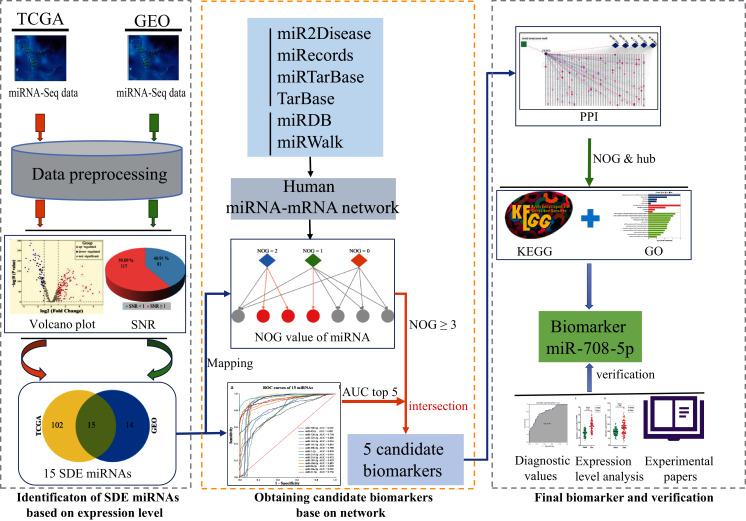 https://cdn.ncbi.nlm.nih.gov/pmc/blobs/3faf/8552790/82c3a2ee628e/peerj-09-12369-g002.jpg