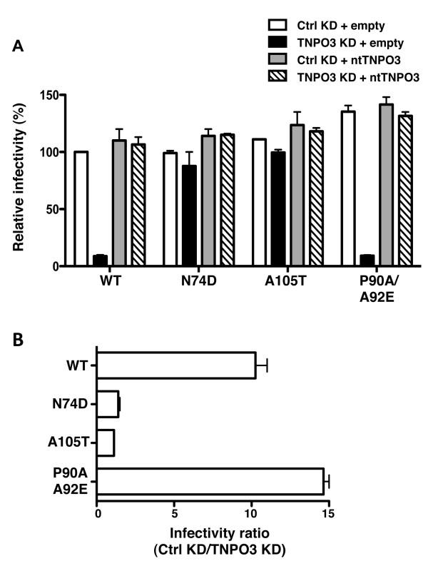 https://cdn.ncbi.nlm.nih.gov/pmc/blobs/3fb2/3267670/ae8a3f077345/1742-4690-8-98-4.jpg