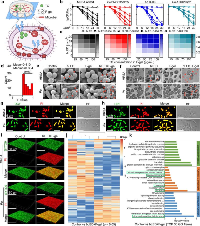 https://cdn.ncbi.nlm.nih.gov/pmc/blobs/3fb3/11525593/59ef7645a7d0/41467_2024_53579_Fig4_HTML.jpg