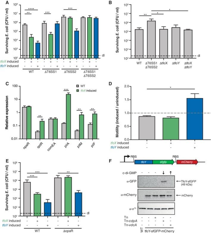 https://cdn.ncbi.nlm.nih.gov/pmc/blobs/3fb5/6618264/cf7663243f08/EMI-21-2231-g004.jpg
