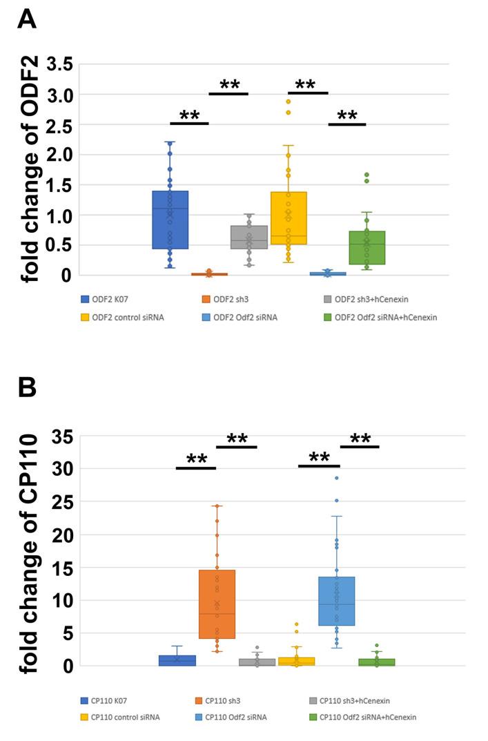 https://cdn.ncbi.nlm.nih.gov/pmc/blobs/3fb7/10486571/200566e5808b/cells-12-02194-g004.jpg