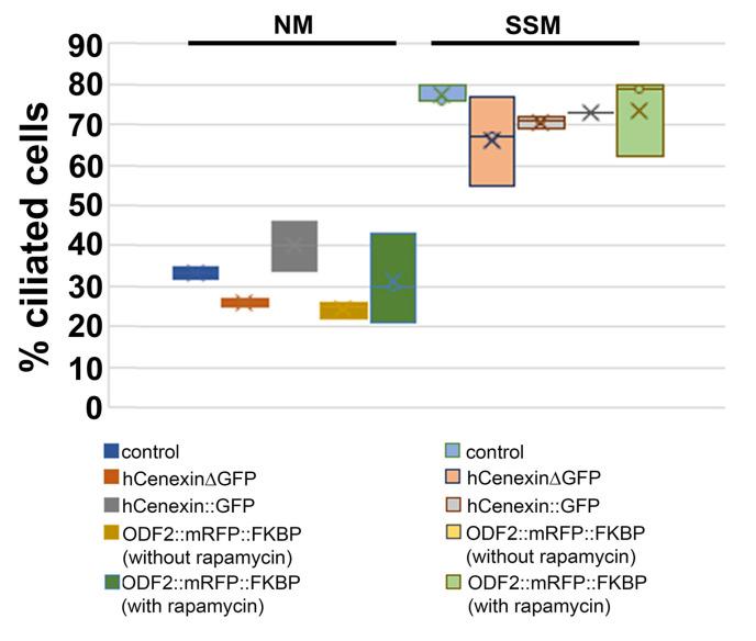 https://cdn.ncbi.nlm.nih.gov/pmc/blobs/3fb7/10486571/9e9e2d265882/cells-12-02194-g008.jpg