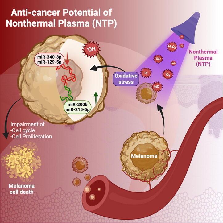 https://cdn.ncbi.nlm.nih.gov/pmc/blobs/3fb8/11785563/320acab44575/ga1.jpg