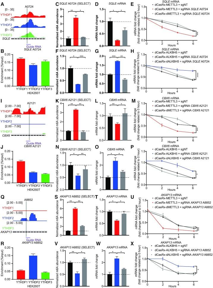 https://cdn.ncbi.nlm.nih.gov/pmc/blobs/3fb9/8287920/4c128cd4fd2a/gkab517fig5.jpg
