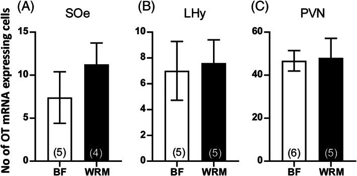 https://cdn.ncbi.nlm.nih.gov/pmc/blobs/3fba/9744569/adcff2b84da8/GBB-21-e12780-g004.jpg