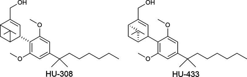 https://cdn.ncbi.nlm.nih.gov/pmc/blobs/3fc4/11091991/3a488f3ccb7c/pt4c00014_0001.jpg
