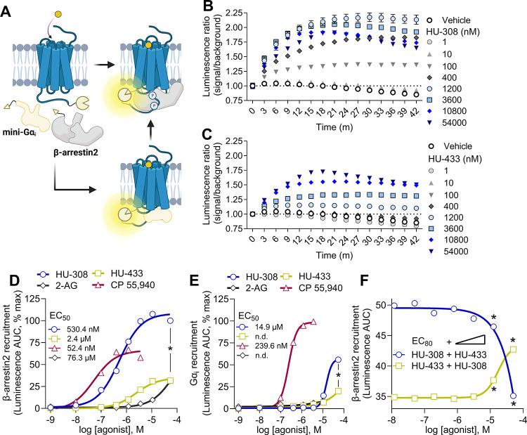 https://cdn.ncbi.nlm.nih.gov/pmc/blobs/3fc4/11091991/5d8c8a782eaa/pt4c00014_0002.jpg