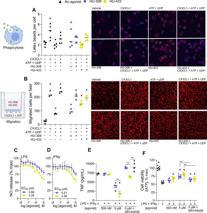 https://cdn.ncbi.nlm.nih.gov/pmc/blobs/3fc4/11091991/a9ff39130365/pt4c00014_0004.jpg