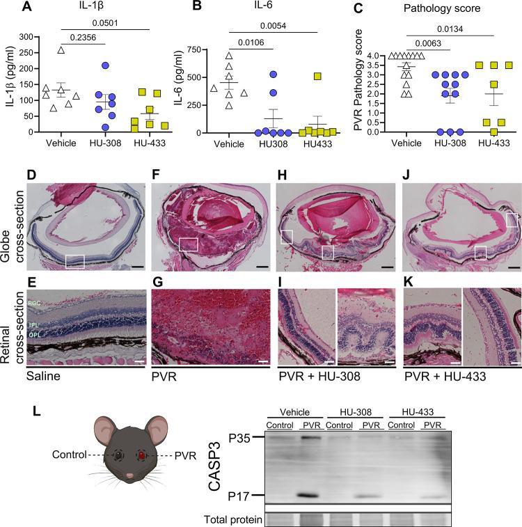 https://cdn.ncbi.nlm.nih.gov/pmc/blobs/3fc4/11091991/c574708ed6ed/pt4c00014_0003.jpg