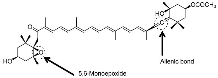 https://cdn.ncbi.nlm.nih.gov/pmc/blobs/3fc7/9368577/e364f5bb539d/foods-11-02235-g002.jpg
