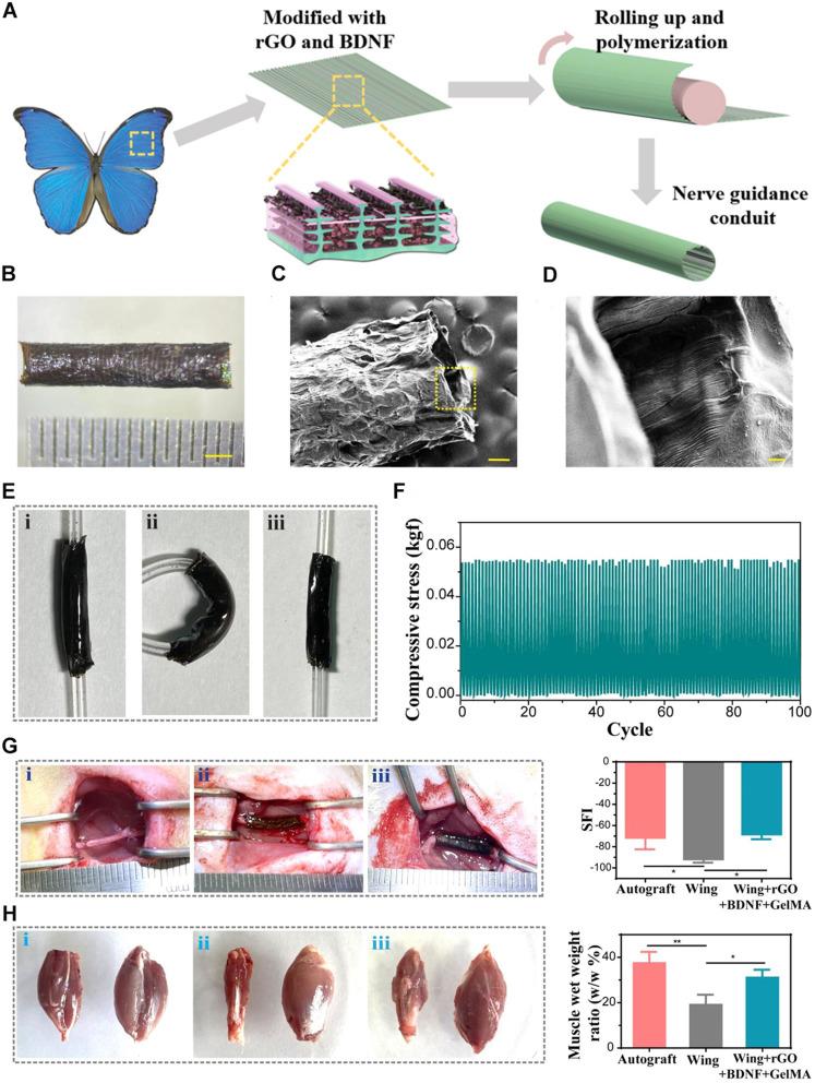 https://cdn.ncbi.nlm.nih.gov/pmc/blobs/3fcc/10771795/4cb80f984a9f/IJN-19-19-g0002.jpg