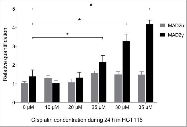 https://cdn.ncbi.nlm.nih.gov/pmc/blobs/3fcd/4968973/c45cc602b5c7/kccy-15-15-1198863-g007.jpg