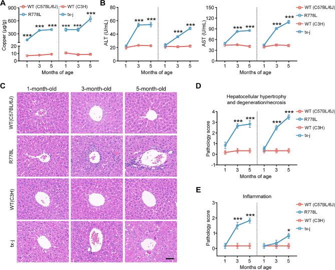 https://cdn.ncbi.nlm.nih.gov/pmc/blobs/3fce/11437830/453142348181/12974_2024_3178_Fig4_HTML.jpg