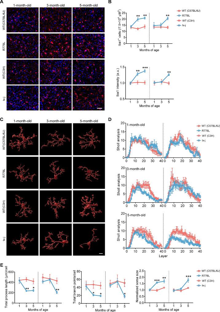 https://cdn.ncbi.nlm.nih.gov/pmc/blobs/3fce/11437830/cbb24880f830/12974_2024_3178_Fig3_HTML.jpg