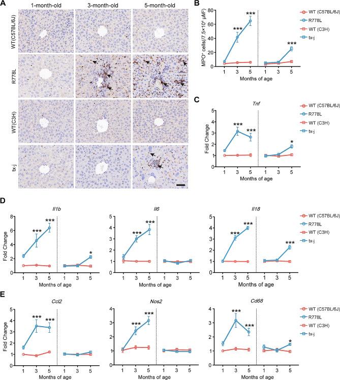 https://cdn.ncbi.nlm.nih.gov/pmc/blobs/3fce/11437830/cde8d123d342/12974_2024_3178_Fig5_HTML.jpg