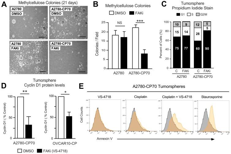 https://cdn.ncbi.nlm.nih.gov/pmc/blobs/3fcf/6721800/1300b0732b6e/elife-47327-fig6-figsupp2.jpg