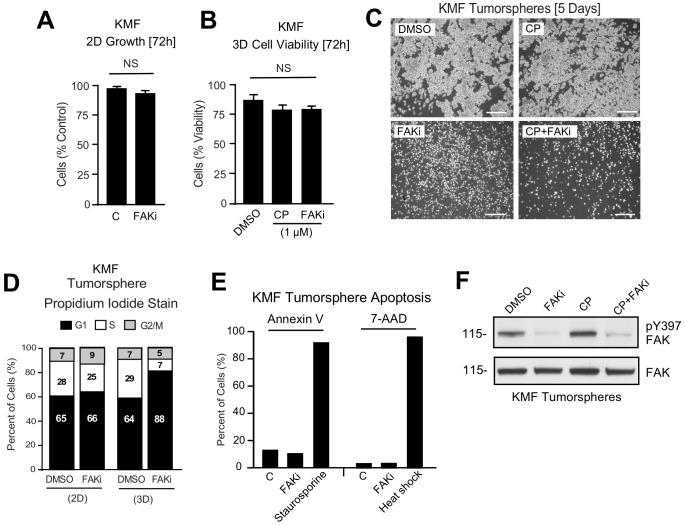 https://cdn.ncbi.nlm.nih.gov/pmc/blobs/3fcf/6721800/20063cdc7e1a/elife-47327-fig5-figsupp1.jpg
