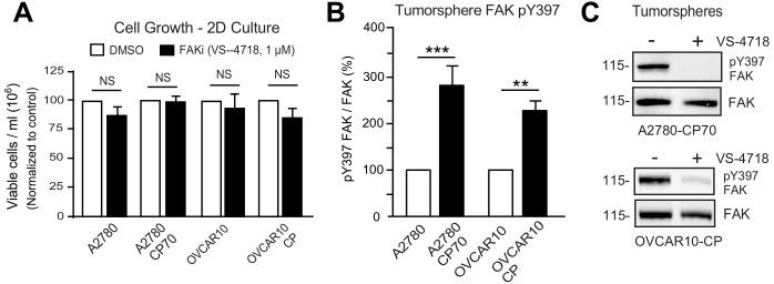 https://cdn.ncbi.nlm.nih.gov/pmc/blobs/3fcf/6721800/4283dc41ce5d/elife-47327-fig6-figsupp1.jpg