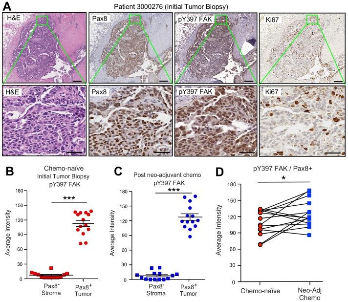 https://cdn.ncbi.nlm.nih.gov/pmc/blobs/3fcf/6721800/4844fba7231e/elife-47327-fig3.jpg