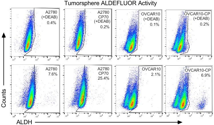 https://cdn.ncbi.nlm.nih.gov/pmc/blobs/3fcf/6721800/7c95536031b9/elife-47327-fig6-figsupp3.jpg