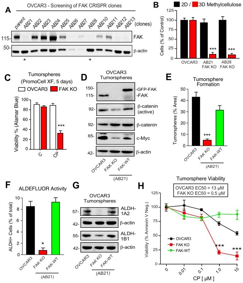 https://cdn.ncbi.nlm.nih.gov/pmc/blobs/3fcf/6721800/b2ec6d4ed14e/elife-47327-fig8-figsupp1.jpg