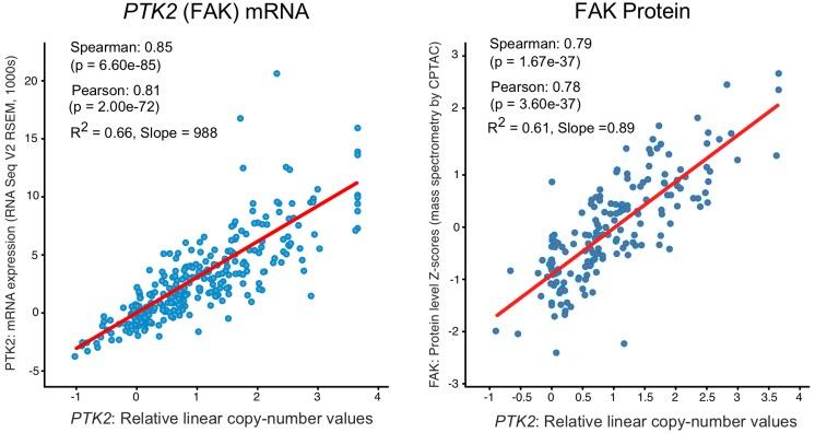 https://cdn.ncbi.nlm.nih.gov/pmc/blobs/3fcf/6721800/ee141f5dab7e/elife-47327-fig1-figsupp1.jpg