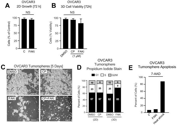 https://cdn.ncbi.nlm.nih.gov/pmc/blobs/3fcf/6721800/f653e7354d73/elife-47327-fig5-figsupp2.jpg